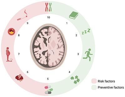 Influence of daily life and health profile in subtle cognitive decline of women residing in Spanish religious communities: DeCo religious orders study